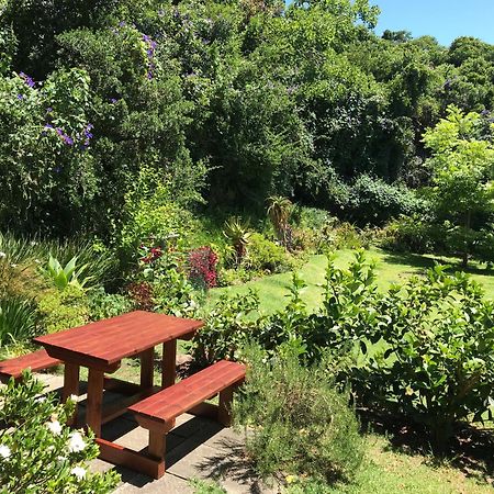 Loeriewood Garden Apartment, Hunters Home Knysna Dış mekan fotoğraf