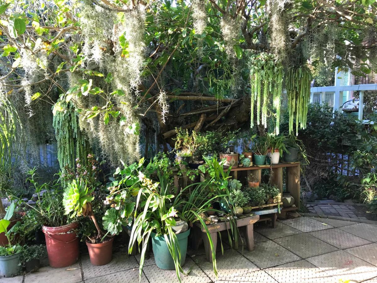 Loeriewood Garden Apartment, Hunters Home Knysna Dış mekan fotoğraf